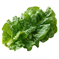Fresh green butterhead lettuce leaves isolated transparent background healthy food ingredient