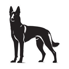Belgian Malinois silhouette designed with perfect accuracy - Belgian Malinois illustration - minimal Belgian Malinois vector - dog silhouette
