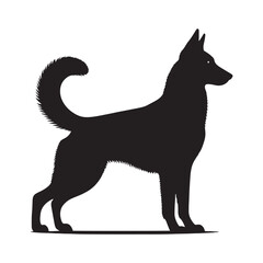 Graceful Belgian Malinois silhouette for elegant and refined art - Belgian Malinois illustration - minimal Belgian Malinois vector - dog silhouette
