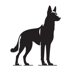 Striking Belgian Malinois silhouette capturing agility and focus - Belgian Malinois illustration - minimal Belgian Malinois vector - dog silhouette
