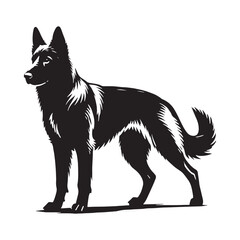 Belgian Malinois silhouette emphasizing confidence and elegance - Belgian Malinois illustration - minimal Belgian Malinois vector - dog silhouette
