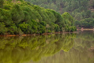 Valle del Ruecas
