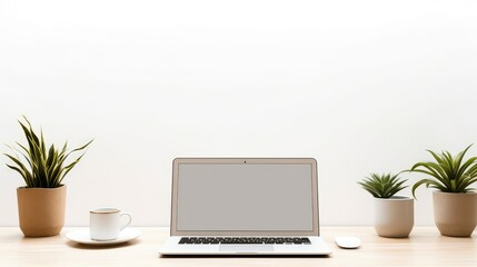 display laptop on desk on white