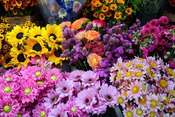 Fototapeta premium Fresh flowers asteraceae outdoors blossom.