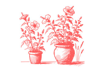 Hibiscus plant hand drawn sketch vector