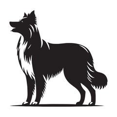 Sharp and precise Border Collie silhouette for seamless compositions - Border Collie illustration - minimal Border Collie vector - dog silhouette
