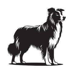Border Collie silhouette featuring a natural, confident stance - Border Collie illustration - minimal Border Collie vector - dog silhouette

