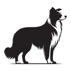 Striking Border Collie silhouette for pet lovers and designers - Border Collie illustration - minimal Border Collie vector - dog silhouette
