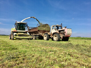 A silage harvester at work, harvesting crops from a field.