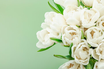 A bouquet of white tulips on a pastel green background. Blooming flowers, festive concept