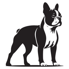 Well-defined Boston Terrier silhouette highlighting its charm - Boston Terrier illustration - minimalist Boston Terrier vector - dog silhouette
