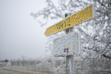 Eislandschaft Ruppersthal Niederösterreich