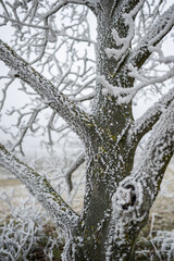 Eislandschaft Ruppersthal Niederösterreich