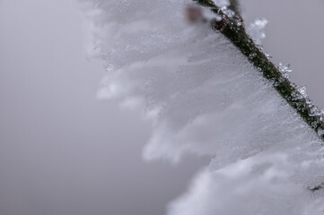 Eislandschaft Ruppersthal Niederösterreich