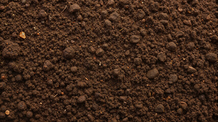 Close-up of rich brown soil texture