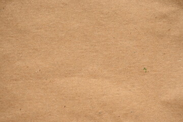light brown crumpled paper texture as background, old kraft paper as background, crumpled packing material texture as background photo above