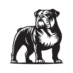 Bulldog silhouette featuring detailed edges and smooth lines - Bulldog illustration - minimal Bulldog vector - dog silhouette
