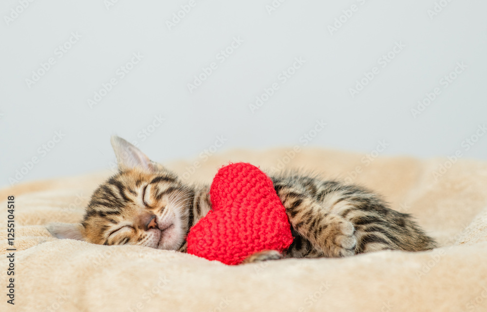 Poster cozy tiny bengal kitten sleeps with red heart on warm bed. empty space for text