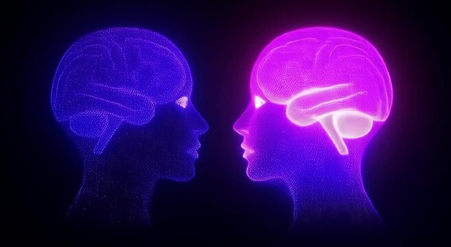 Interconnected Minds: A Visual Representation of Brain-to-Brain Communication