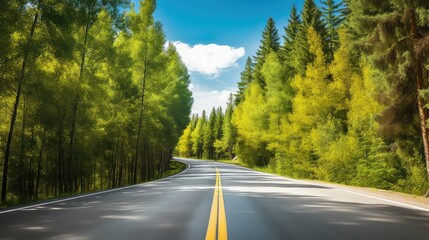 Fototapeta premium trees yellow road