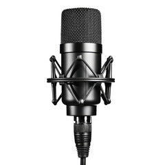 A professional microphone featuring a mesh head and a sturdy shock mount, designed for high-quality audio recording.