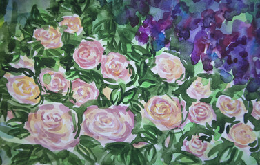 Watercolor pastel color roses and purple blooming wisteria. Soft selective focus wet brush strokes decorative effect.
