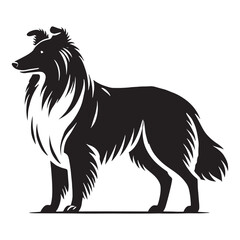 Detailed Collie silhouette crafted for premium projects - Collie illustration - minimal Collie vector - dog silhouette
