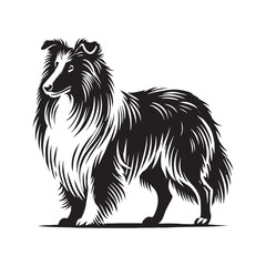 High-quality Collie silhouette with a polished and artistic look - Collie illustration - minimal Collie vector - dog silhouette
