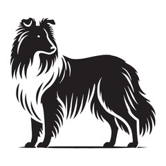 Unique Collie silhouette for creative and professional projects - Collie illustration - minimal Collie vector - dog silhouette
