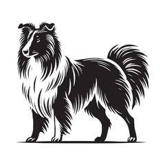 Graceful Collie silhouette for elegant and timeless designs - Collie illustration - minimal Collie vector - dog silhouette
