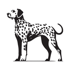 Graceful Dalmatian silhouette with a strong and defined shape - Dalmatian illustration - minimal Dalmatian vector - dog silhouette
