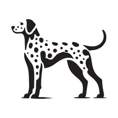 Fototapeta premium High-quality Dalmatian silhouette suitable for all design needs - Dalmatian illustration - minimal Dalmatian vector - dog silhouette 