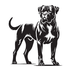 Confident Dogo Argentino silhouette with a strong and agile pose - Dogo Argentino illustration - minimal Dogo Argentino vector - dog silhouette
