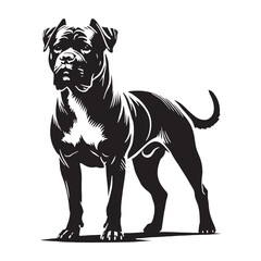 Striking Dogo Argentino silhouette with precision-crafted lines - Dogo Argentino illustration - minimal Dogo Argentino vector - dog silhouette
