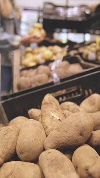 Young Woman Choosing potatos in Grocery Store. Concept of healthy food, bio, vegetarian, diet. Selective focus