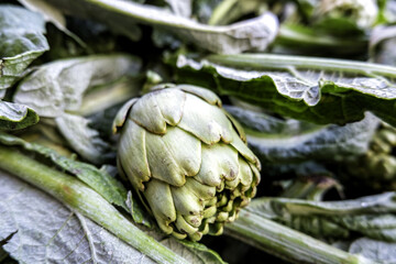 Artichokes in a market