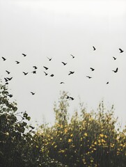 A flock of birds flying through heavy rain, barely visible against the gray sky.
