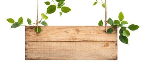 Wooden sign hanging from branches with green leaves and white background