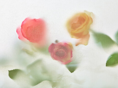 ギフトのイメージ　薔薇　抽象　アート　母の日　バレンタイン