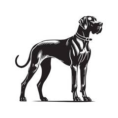 Distinct Great Dane silhouette emphasizing its height and noble form - Great Dane illustration - minimal Great Dane vector - dog silhouette
