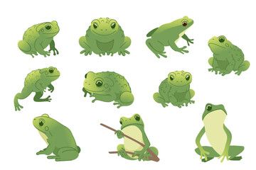 Collection of green frogs in various poses. Cartoon animal design, cute amphibian. Great for nature illustrations, wildlife designs, or educational visuals. Vector illustration isolated on white