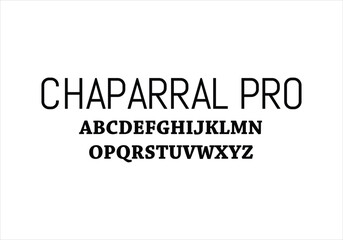 Chaparral Pro font for logo and headline. Isolated vector typeset
