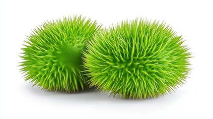 Bright Green Spiky Balls Against White Background