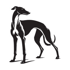 Obraz premium Stylish and modern Greyhound silhouette perfect for logos - Greyhound illustration - minimal Greyhound vector - dog silhouette 
