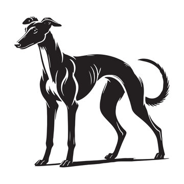 recommend clip art: Greyhound silhouette with smooth, flowing lines and motion - Greyhound illustration - minimal Greyhound vector - dog silhouette
                    