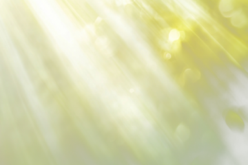 PNG White and light amber colors muted light green background sunlight lighting.