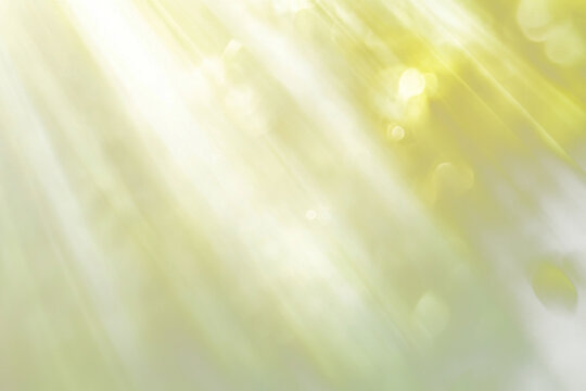 PNG White and light amber colors muted light green background sunlight lighting.