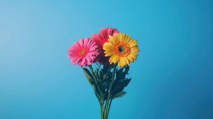 Colorful Bouquet Of Pink And Yellow Flowers On Blue Background