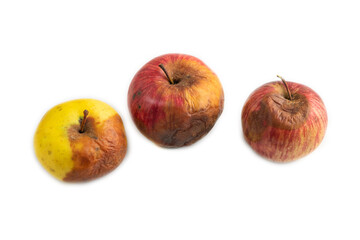 Decaying, Rotting apples isolated on white. Side view, copy space