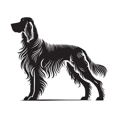 Graceful Irish Setter silhouette capturing agility and charm - Irish Setter illustration - minimal Irish Setter vector - dog silhouette
